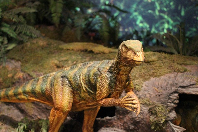 Dinosaurier Welt Quiz