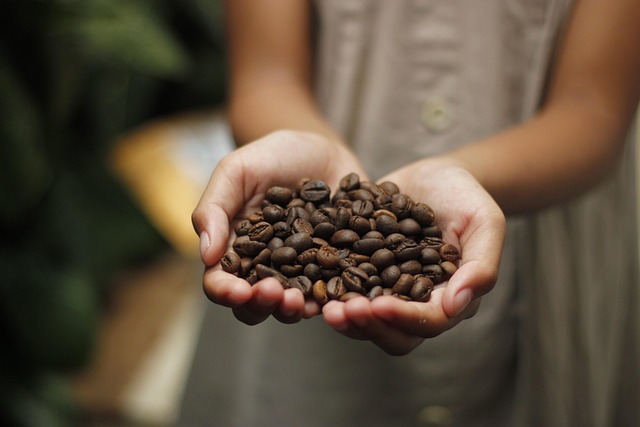 Affeeanbau und Fair Trade Quiz