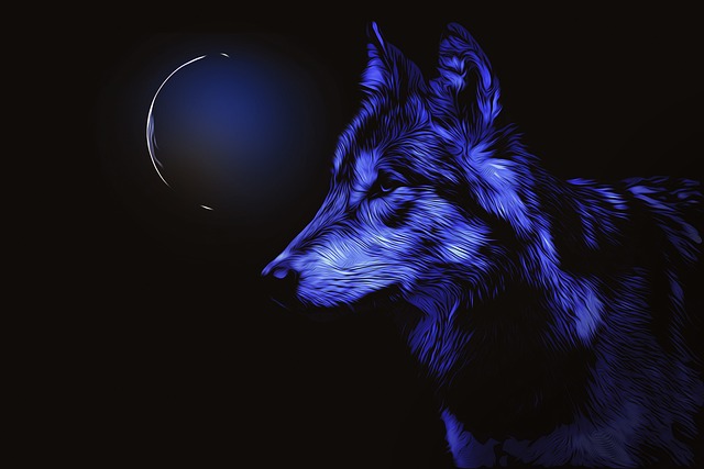 Wildtiere der Nacht Quiz
