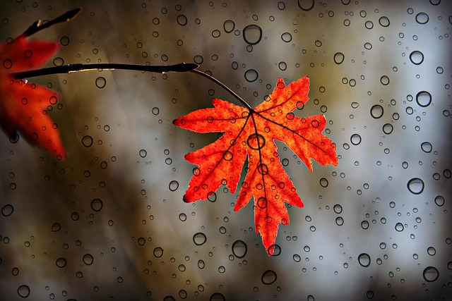 Wetter-Werkstatt: Regen, Wind und Schnee