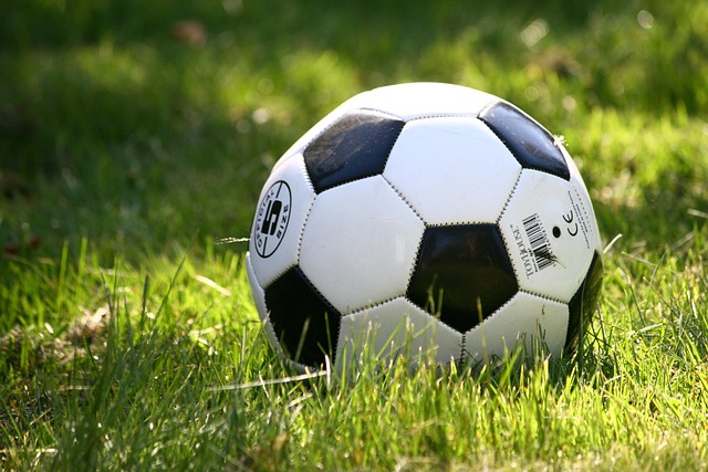 Sportarten und ihre Regeln Quiz