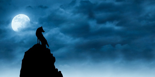 Tag und Nacht Quiz: Die Logik der Zeit