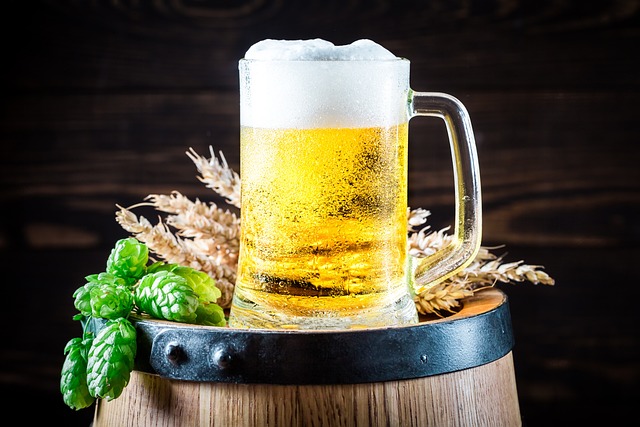Österreichischer Wein & Bier Quiz