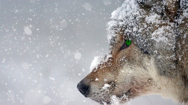 Extremes Wetter weltweit Quiz