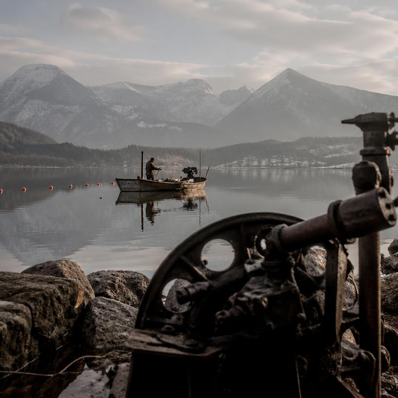 Die Schatten der Maschinen