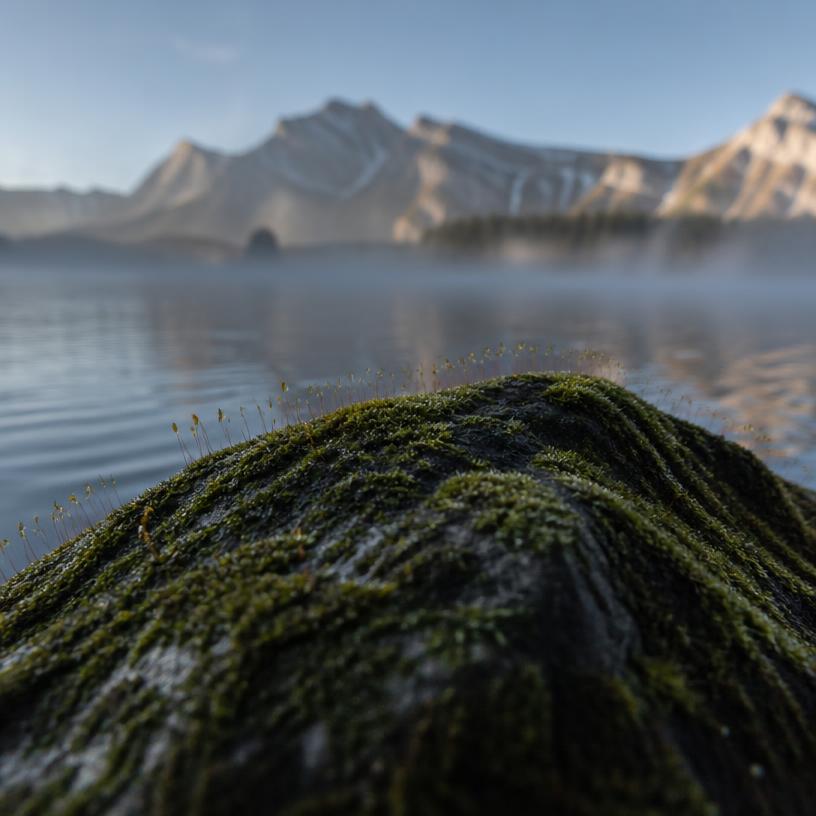 Mikroben: Die unsichtbaren Helden