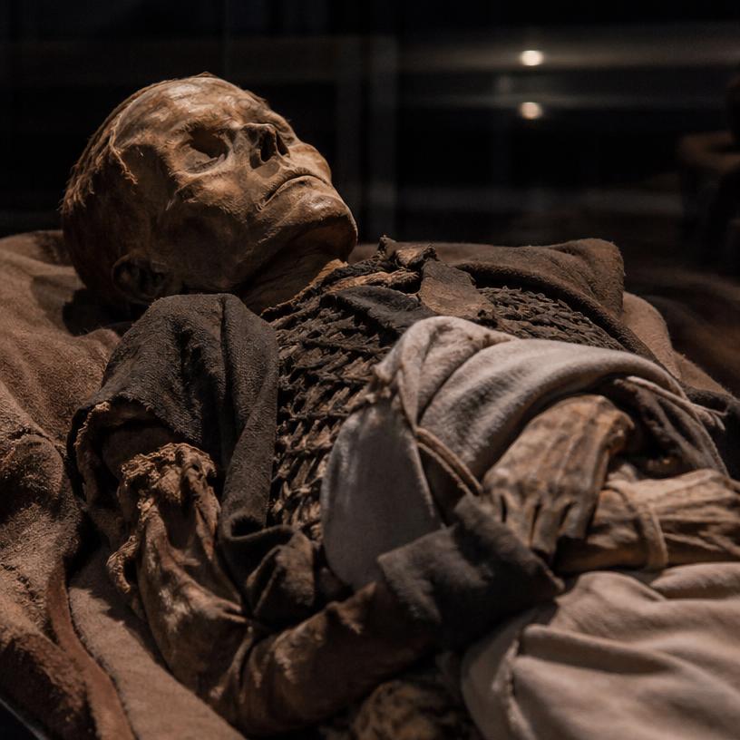 Mumien und ihre Geschichten