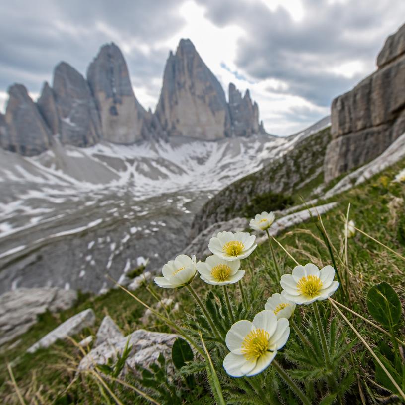 Die verborgenen Schätze der Alpen