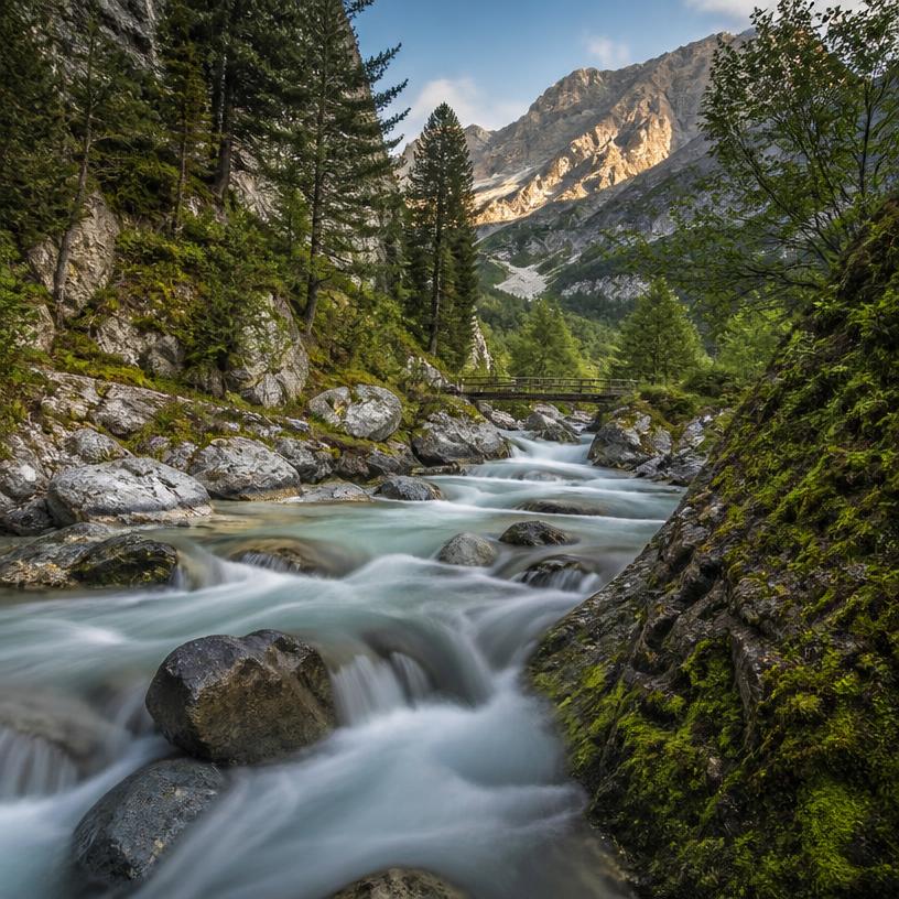Die geheimen Strömungen Österreichs