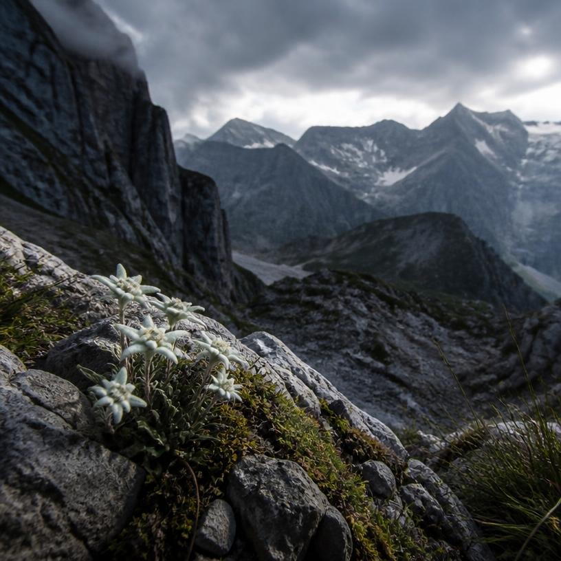 Geheimnisse der Berge: Was die Alpen verbirgt