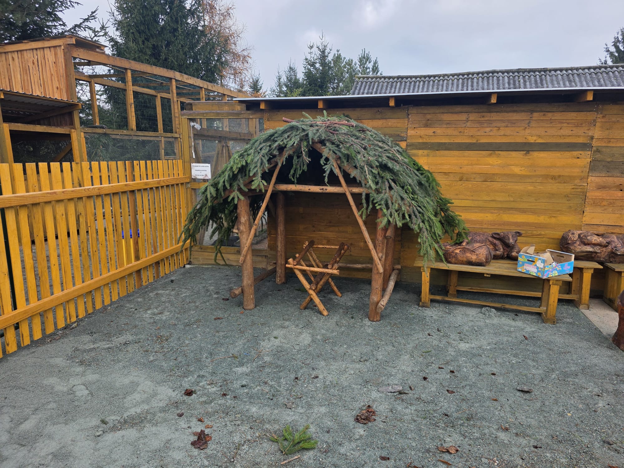 Allgemeiner Wissenstest